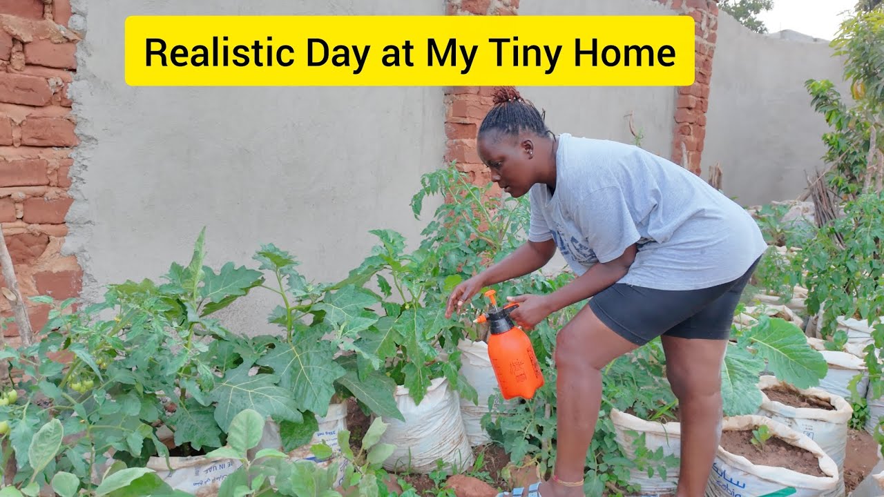 A Realistic Day at my Tiny Town Home in Uganda 