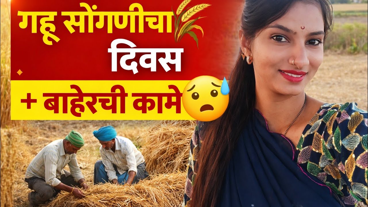  आज गेले गहू सोंगायला 😲 स्वयंपाक + बाहेरची कामे 🤕#workhard#subscribemychannel#vilagevlogs 