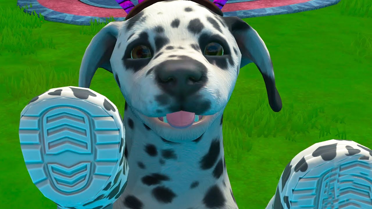 New Puppies on Puppy Island