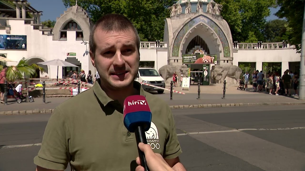 A magas sótartalmú víz nem lesz hatással a hazai ökoszisztémára - HírTV