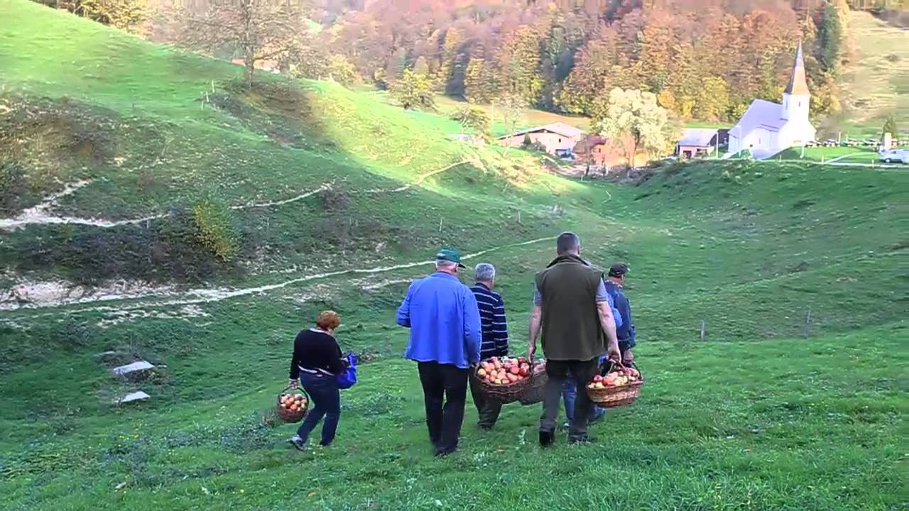 Mletje in prešanje jabolk