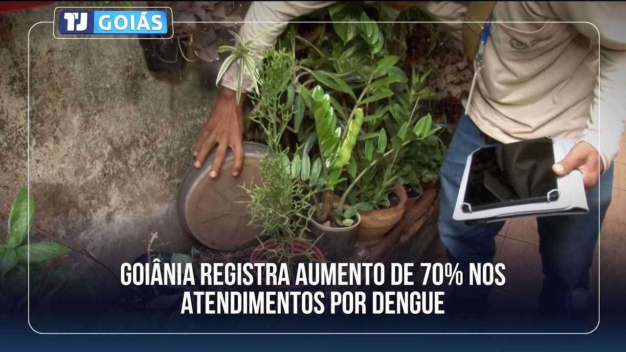 GOIÂNIA REGISTRA AUMENTO DE 70% NOS ATENDIMENTOS POR DENGUE E SAÚDE AMPLIA HORÁRIO NAS UBS