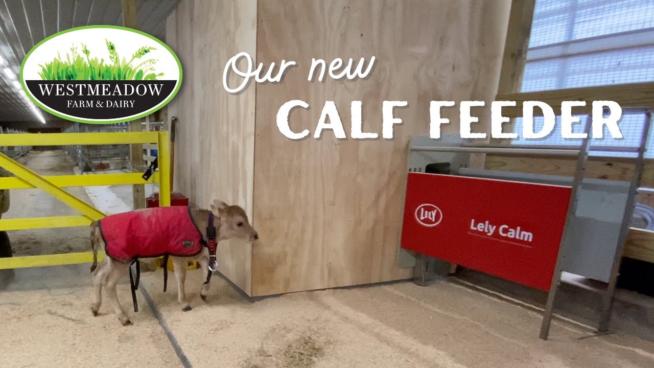 Lely Calf Feeder | Westmeadow Farm & Dairy