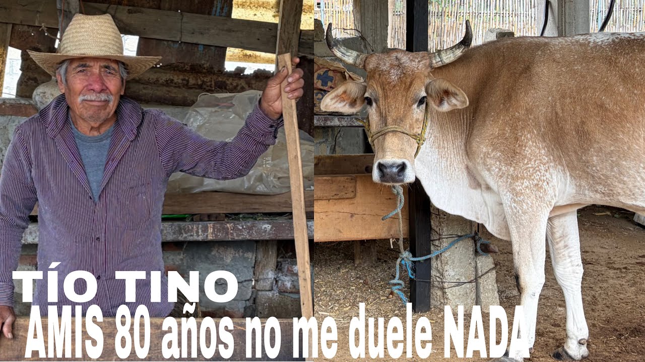 Oaxacan HEALER and FARMER, in excellent health ..