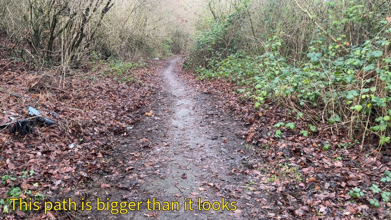 Nature is consuming this cycleway, lets clean it up !