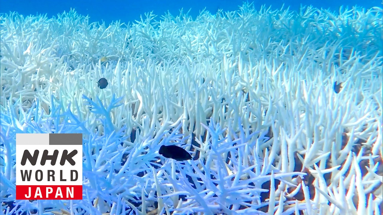 On the Brink of Extinction? Special Edition - IMPACTS: Climates Change the World
