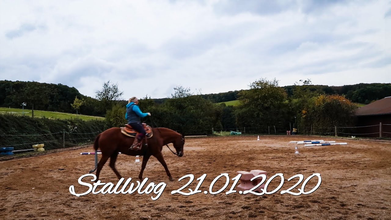 | Stallvlog #9 | 2020 | Handpferderitt, Misten & Stangenarbeit |