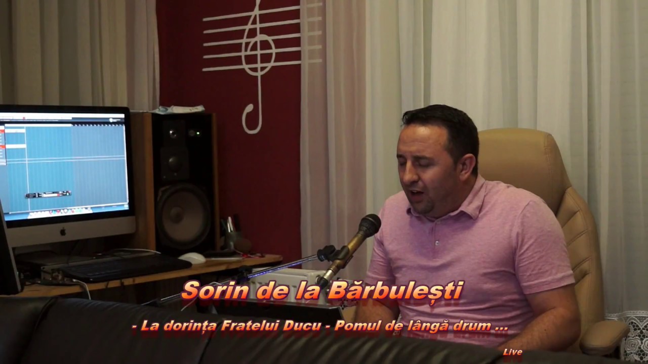 Sorin de la Barbulesti Am fost pomul fara rod