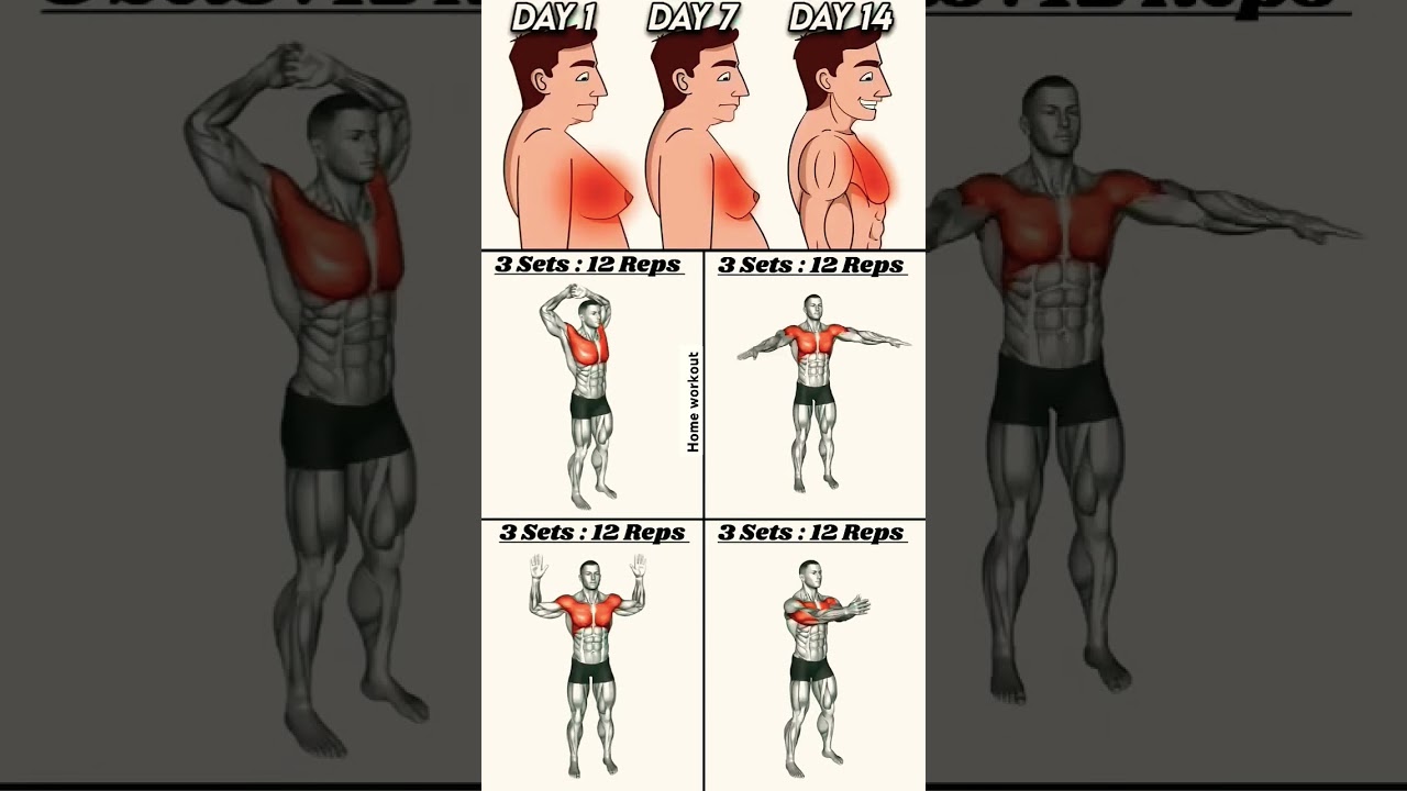 Belly chest fat loss and get best shape chest workout at home| #chest #bellyfat #fatloss #fitness
