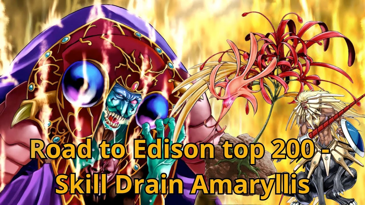 The best skill drain deck? Amaryllis is back!