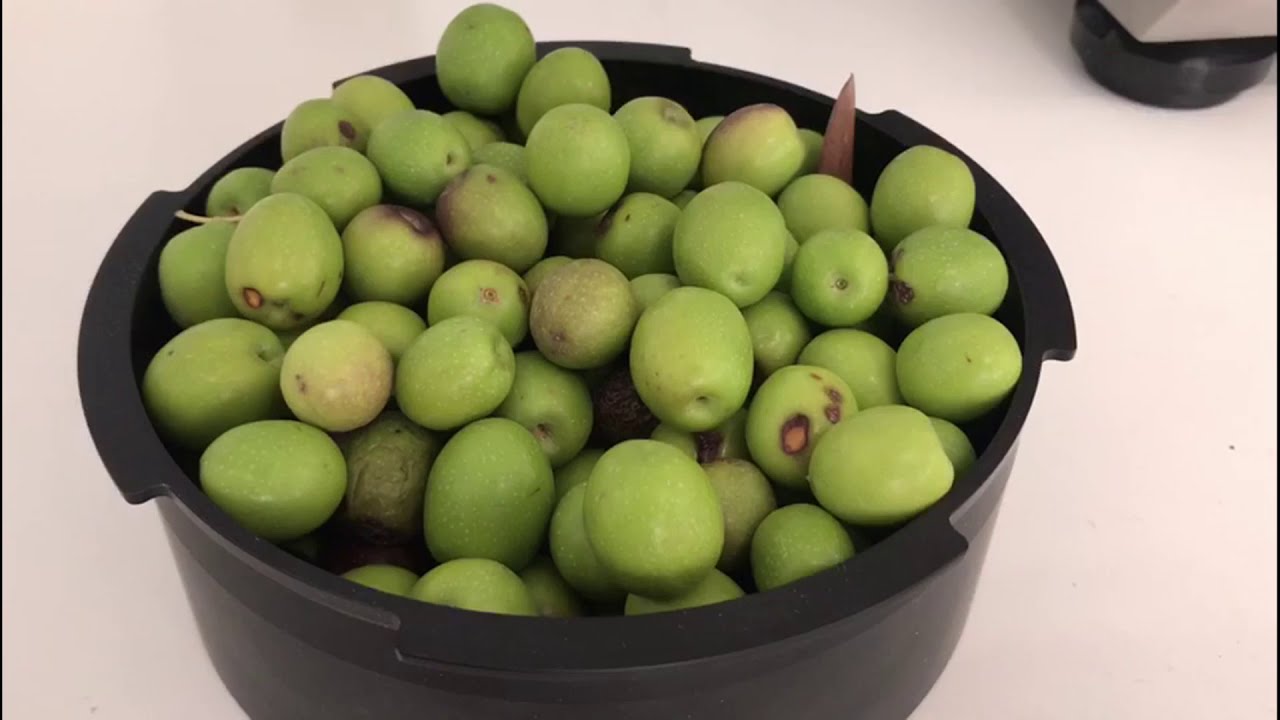 Funcionamiento del OliveScan2 - Aceituna