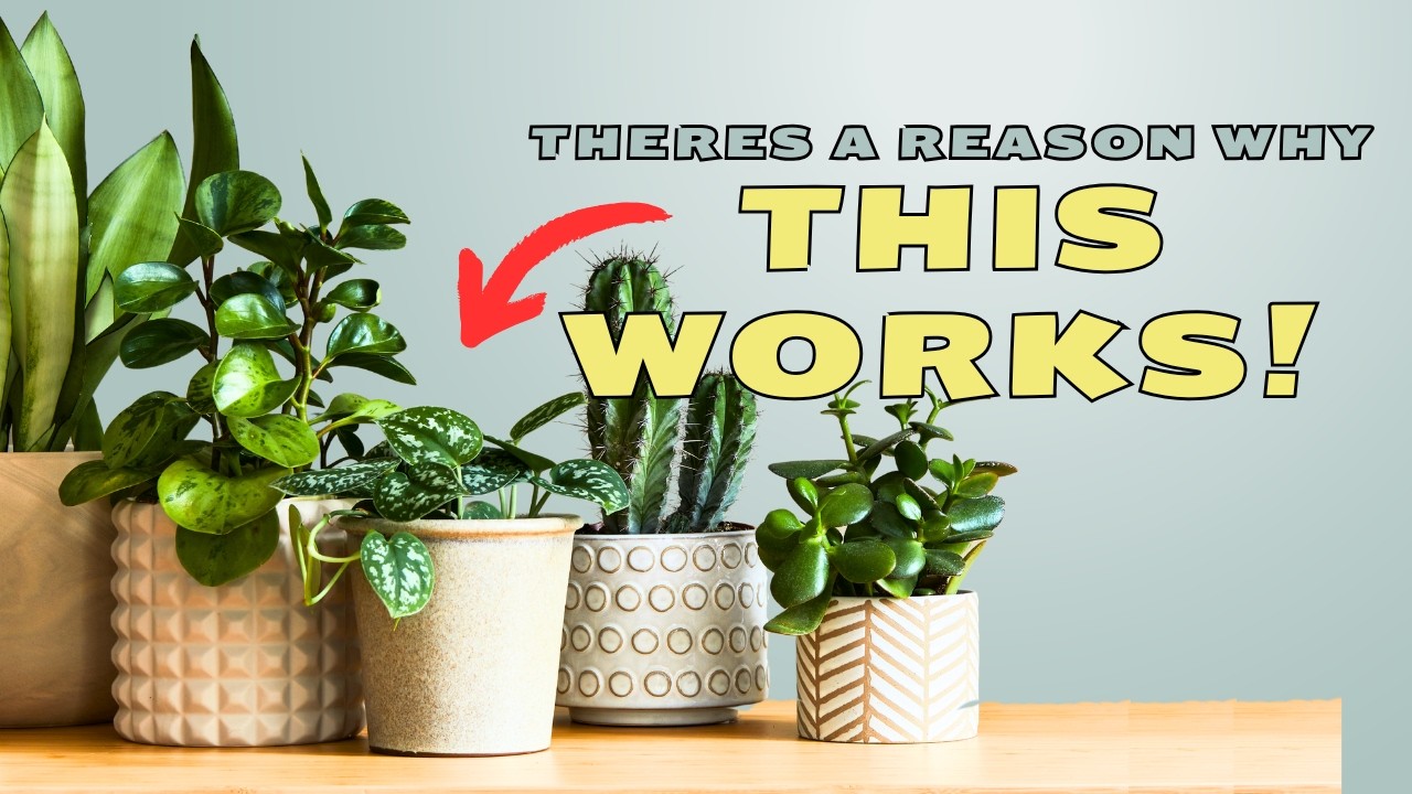 This Simple Plant Styling Trick Will Change Everything