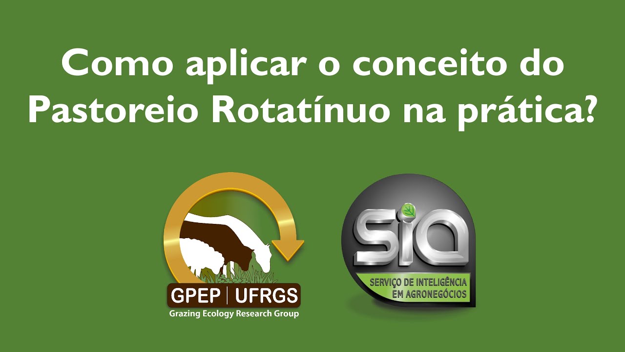 Como aplicar o conceito do Pastoreio Rotatínuo na prática?