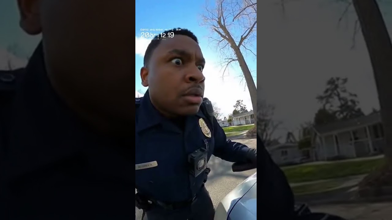 Cat Pulled Over for Speeding!