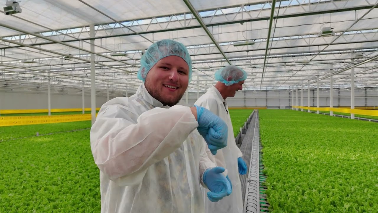 Where Our Salads Begin 🥗 | Pure Green Farms Tour | Slice of Life Ep.17