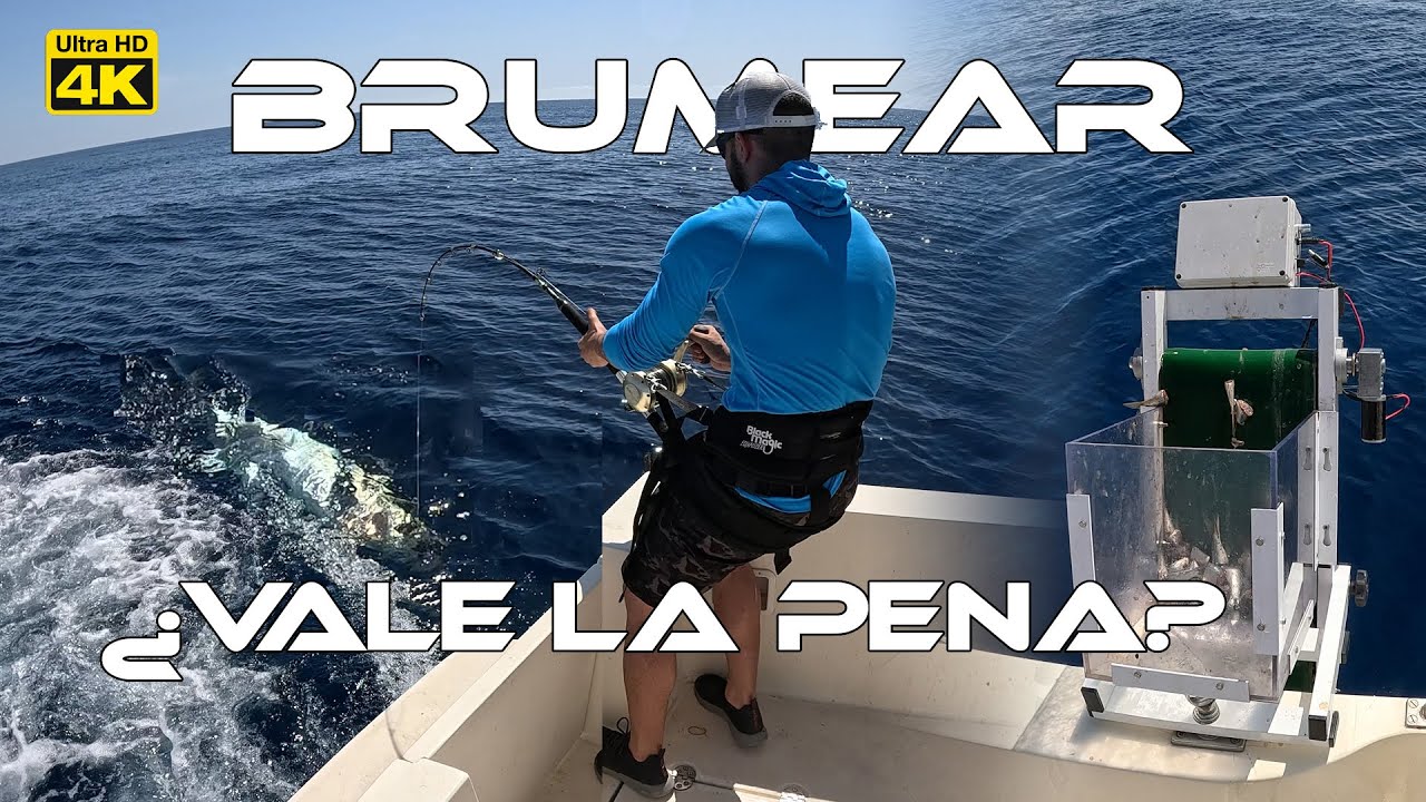 PESCA a BRUMEO - ¿Es EFICAZ BRUMEAR desde la SUPERFICIE? + GALLO PEDRO