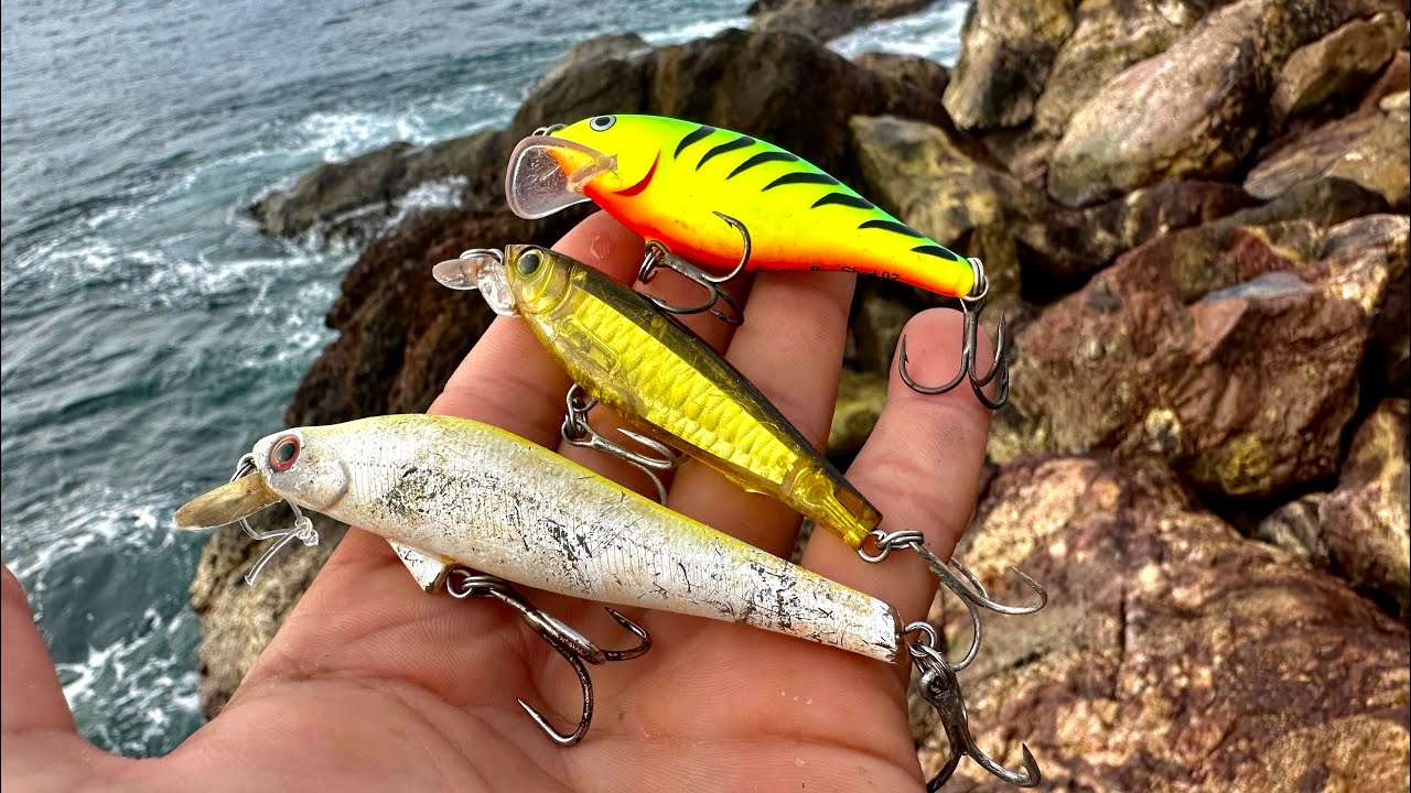 PESCA de ORILLA con SEÑUELOS || MINNOW || JERBAIT || MEDIA AGUA. 