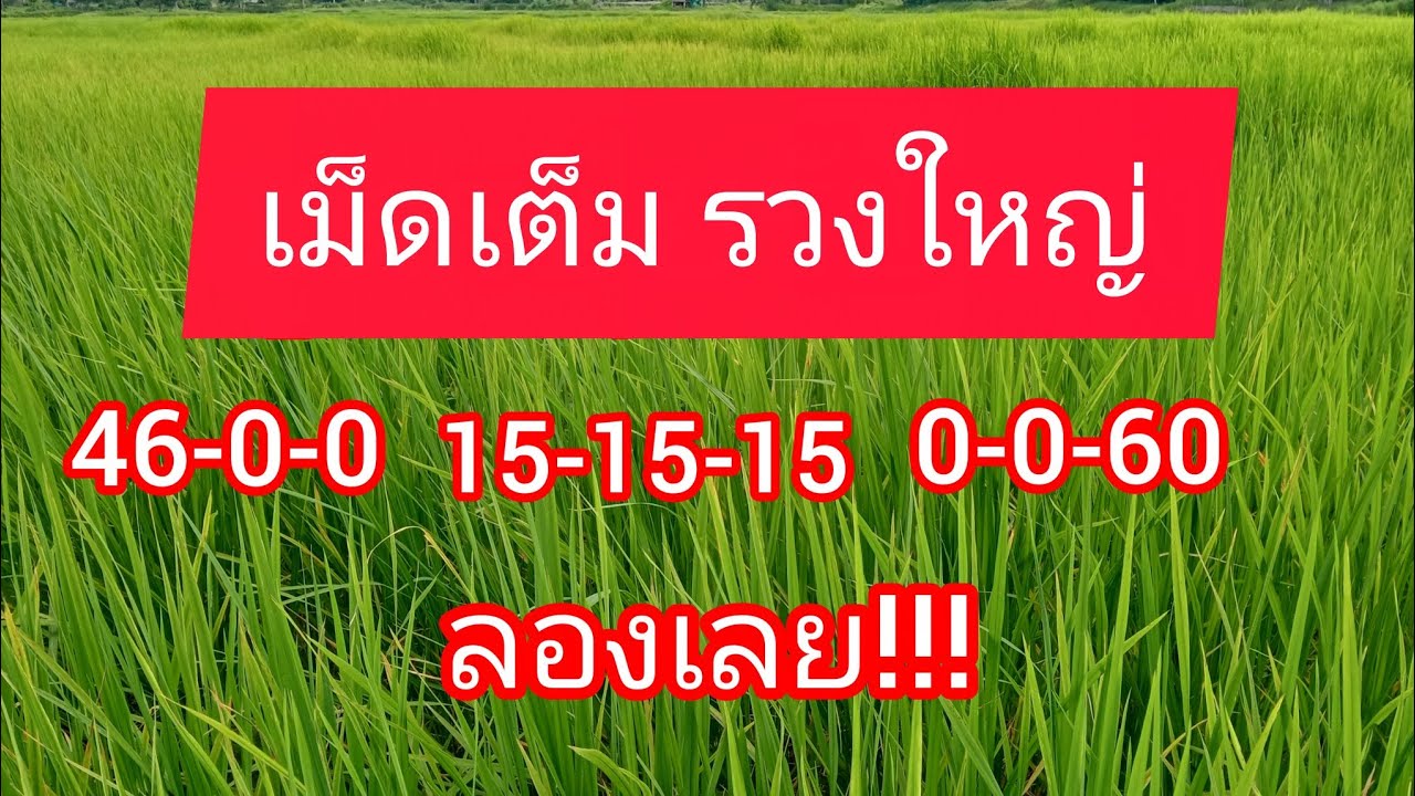 สูตรปุ๋ยรับรวง 46-0-0+15-15-15+0-0-60