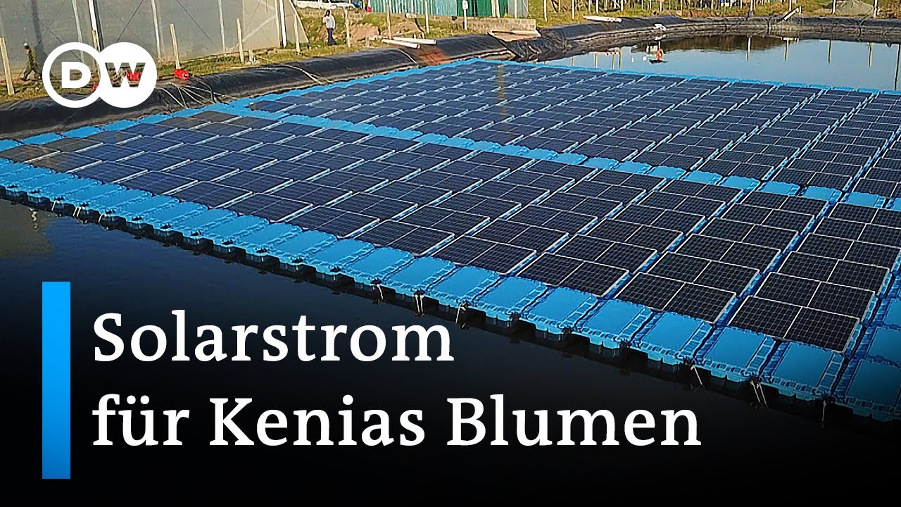 Kenia: Solarstrom für Blumen | Global Ideas