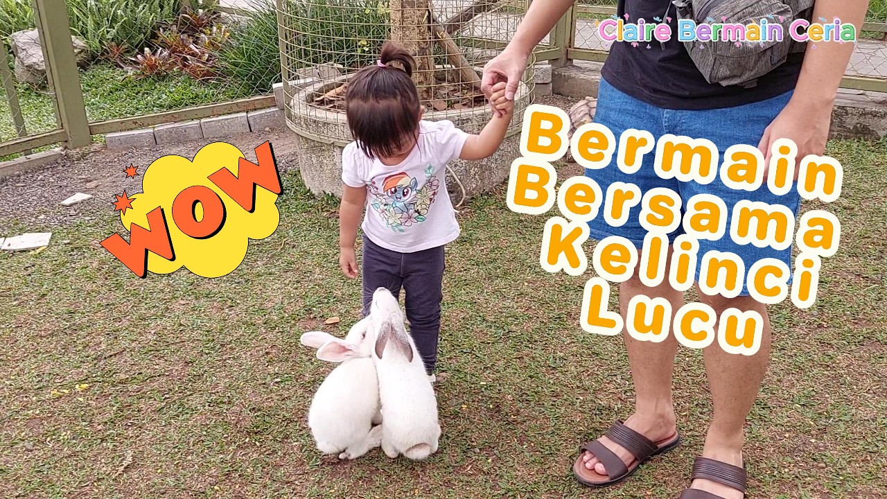 WOW! SERU! Claire Bermain Bersama Kelinci Lucu!