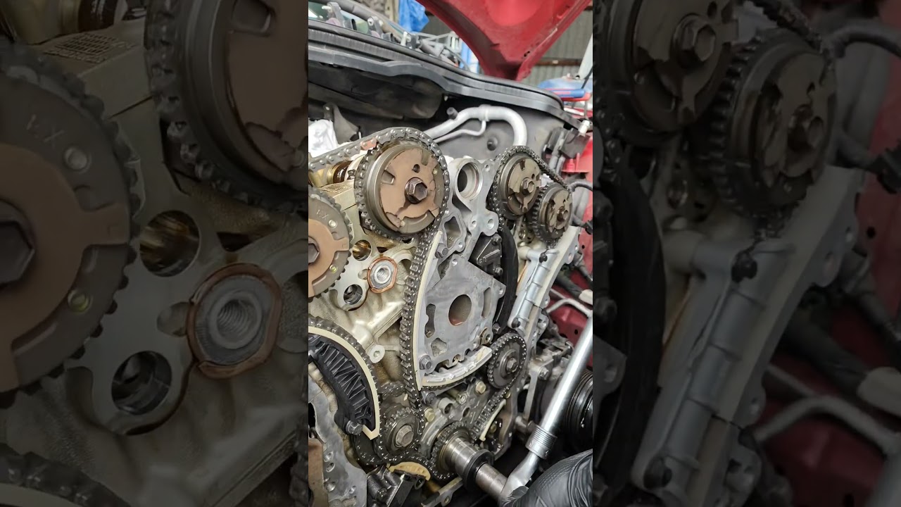 Timing Chain Replacement on the SV6 Commodore