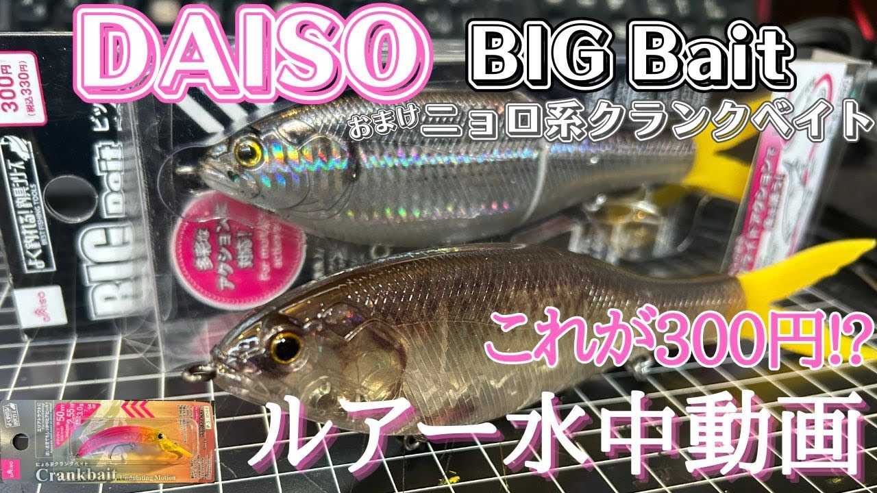 【ダイソー】水中映像　「DAISO BIG Bait」（ダイソービッグベイト）これ300円！？　ルアー水中動画