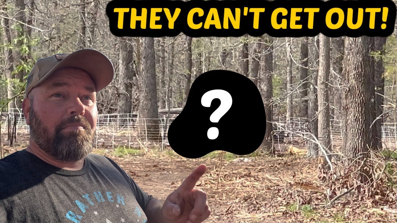 We Finally Got Them & They’re Trapped!