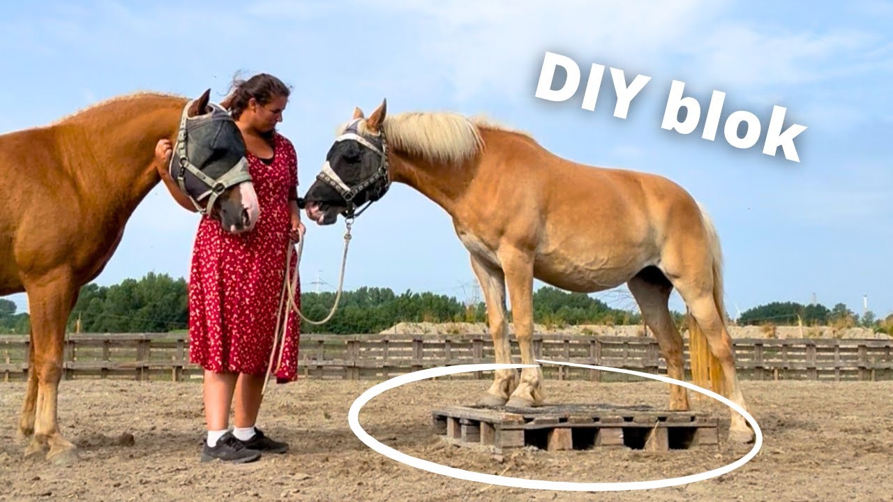KLUSSEN OP DE TRACK | DIY blok | Happy Horsemanship