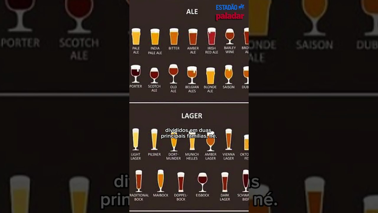 🍺 Quais s&atilde;o os tipos de cerveja? Descubra com uma especialista!