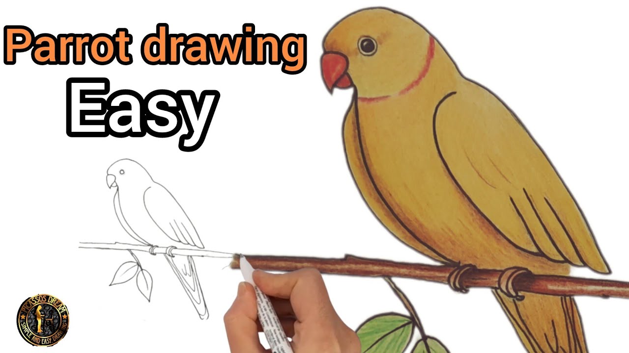 How to draw a bird step by step/ easy drawing
