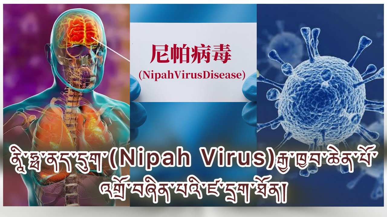 གཉན་སྲིན་ངན་པ་ཁྱབ་མུས། མྱུར་ཚད་མཐོ་བ། སྨན་ཁབ་མེད་པ། ཉེན་གཡོལ་ཐབས་ལམ། ནད་རྟགས་གཙོ་ཕལ། ཨ་ཤི་ཡའི་ཛ་དྲག 