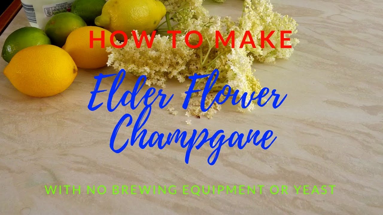 Elderflower champagne no yeast or brewing equipment.