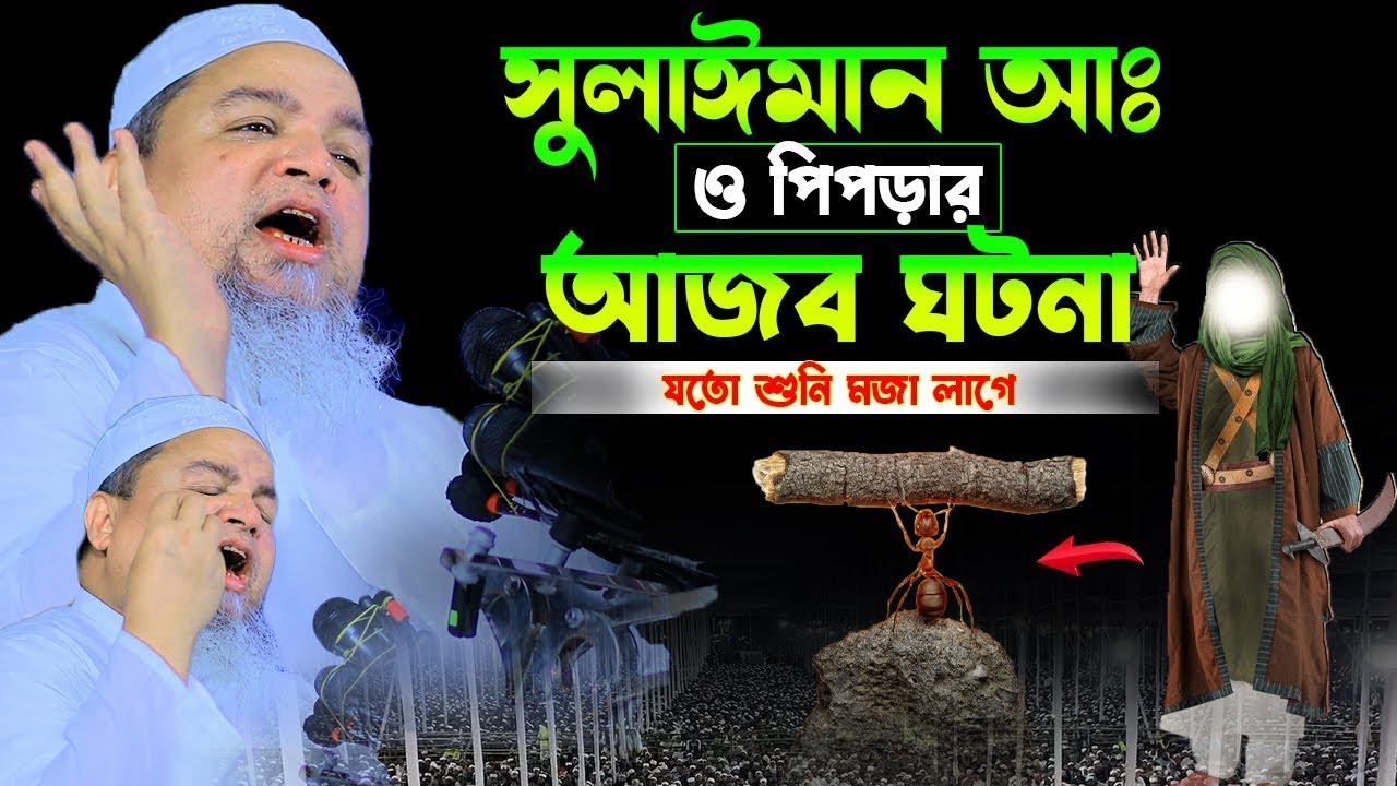 সুলাইমান আঃ ও পিপড়ার আজব ঘটনা।খালেদ সাইফুল্লাহ আইয়ুবী,khaled saifullah ayubi