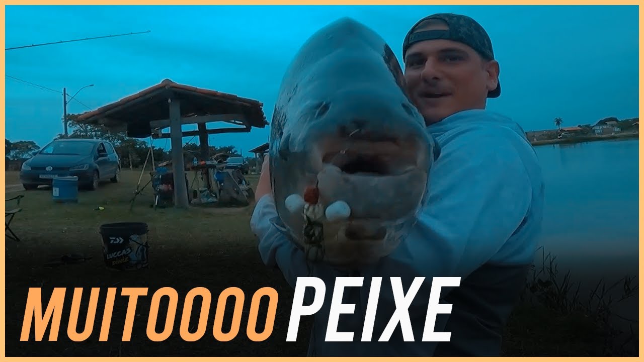 PESCARIA COM MUITOS TAMBAS NA PACU