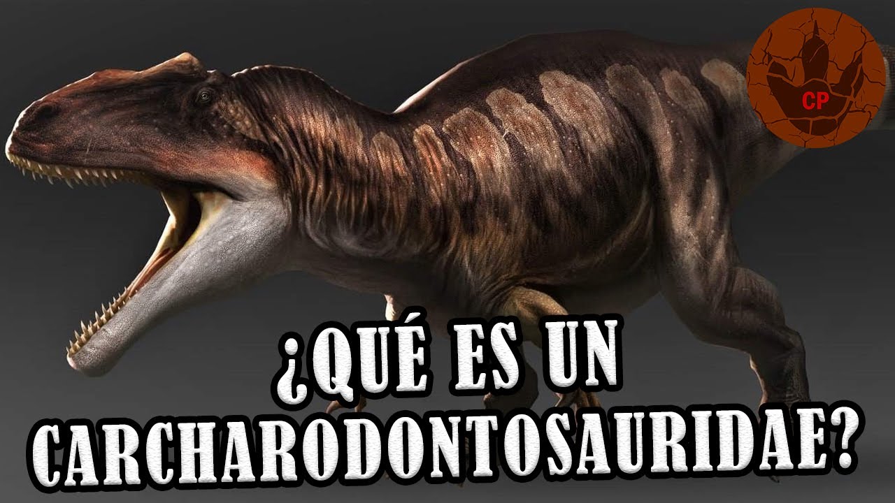 ¿QUÉ ES UN CARCHARODONTOSAURIDAE?