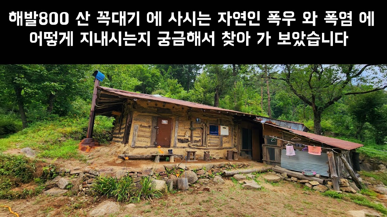 정선 산 골짜기 깊은곳 백년도 넘은 투막 집에 홀로 살고 계시는 자연인 은 폭우 와 폭염 에 어떻게 지내 시는지 찾아 뵙고 왔습니다