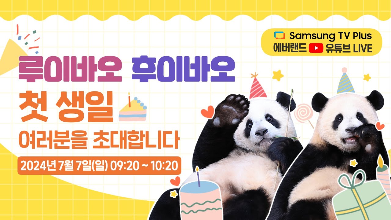 [🟢LIVE] 슬기롭고 빛나는 보물 🐼루이바오·후이바오🐼 돌잔치🎉｜#쌍둥이아기판다 #첫돌