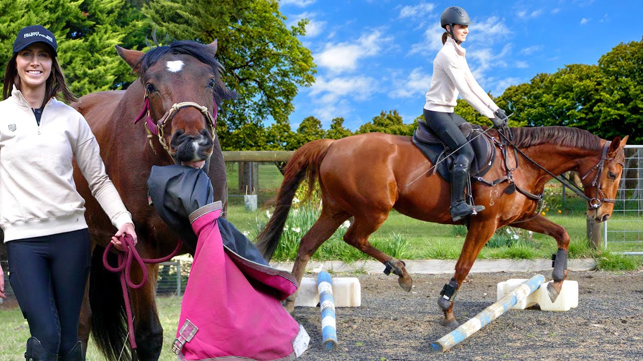 BABY HORSE TRAINING & POLEWORK CHALLENGE! (BUSY BARN VLOG!)