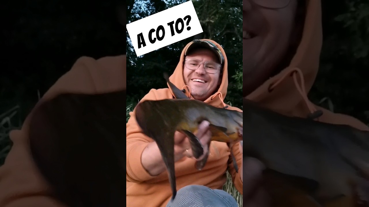 A co to? #greenfish #polska
