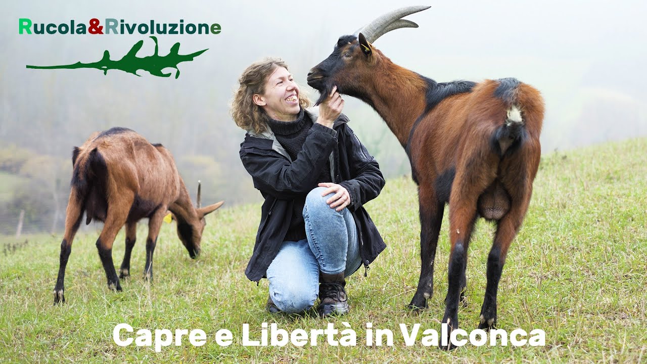 Capre e Libertà in Valconca