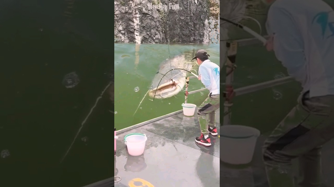 OH MY GOD! JORAN SAMPAI MELENGKING MANCING DI KOLAM DAPAT IKAN LELE RAKSASA #fishing #amazing
