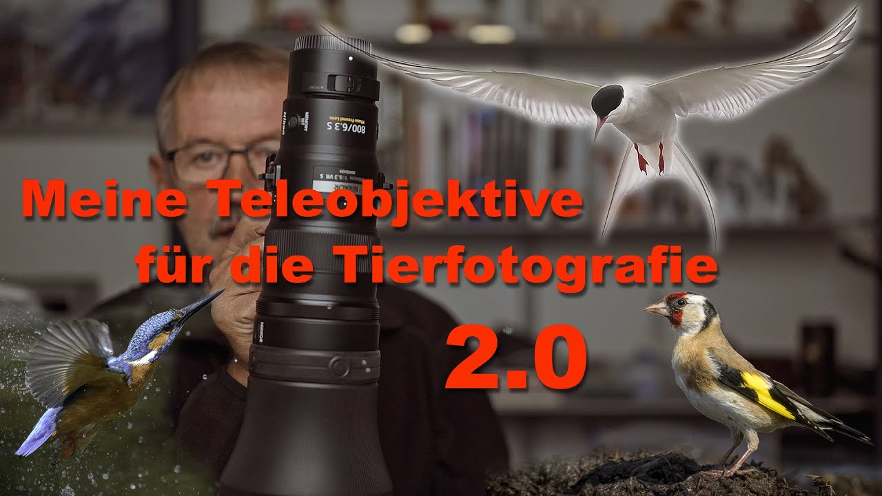 Meine Teleobjektive für die Tierfotografie 2.0