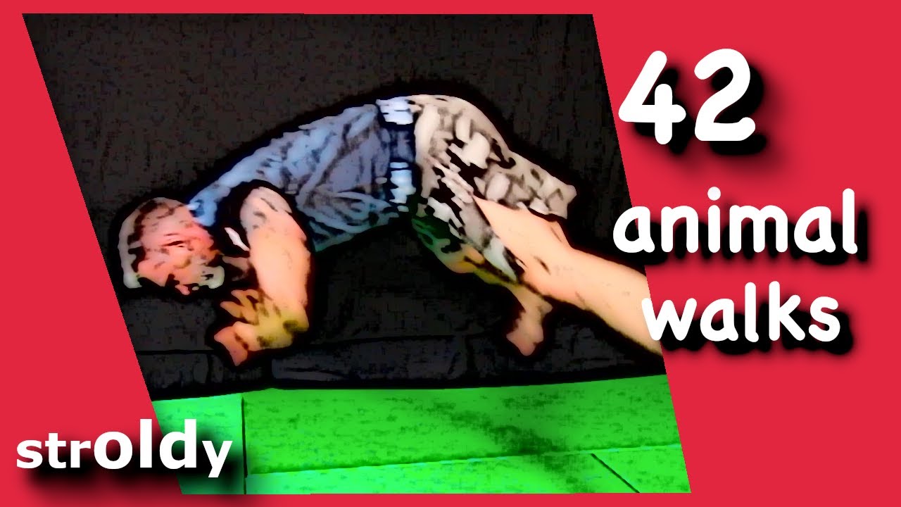 42 Animal Walks (and more) for BJJ and Luta Livre