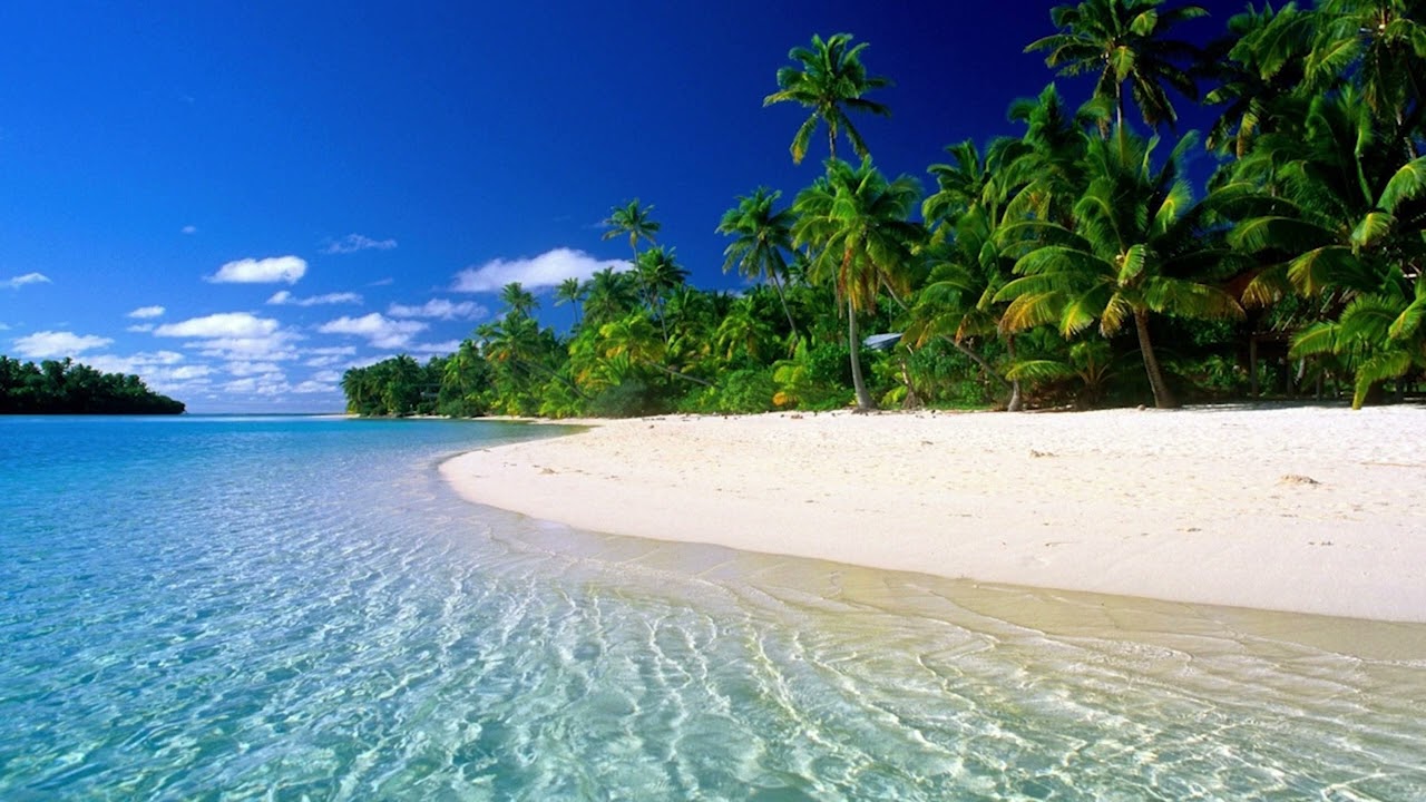 🌴 Relax in an ocean setting on a tropical Maldives island with soothing waves ASMR Zen paradise