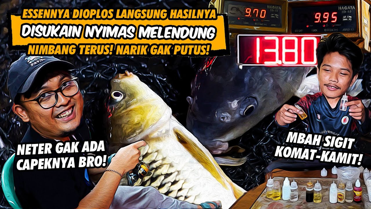 NGOPLOS ESSEN DADAKAN! CENAYANG JANJIIN NARIK 100 EKOR & NIMBANG SAMPE PULUHAN DI GT MAS JAMBORE