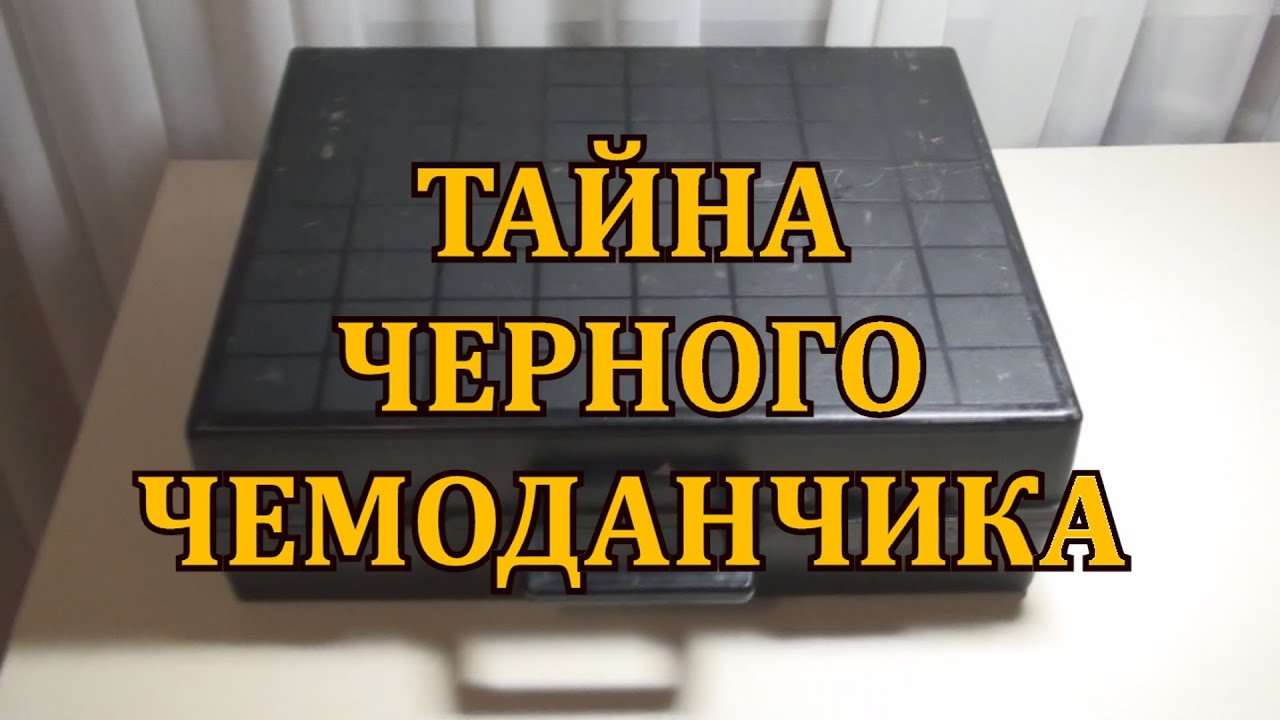 НЕОЖИДАННЫЙ СЮРПРИЗ В ЧЕРНОМ ЧЕМОДАНЧИКЕ!!!