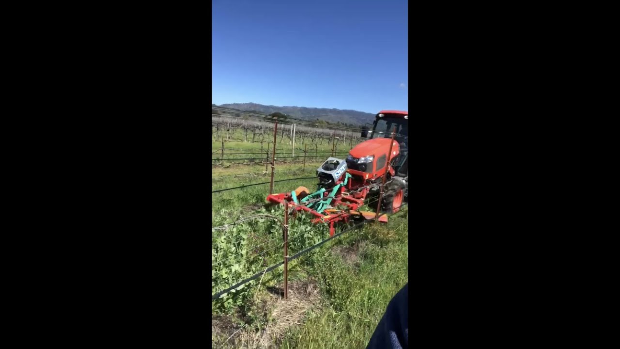 Regenerative Agriculture in an Organic Vineyard