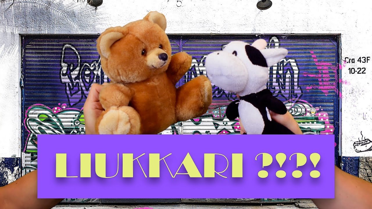 Mik&auml; on liukkari?