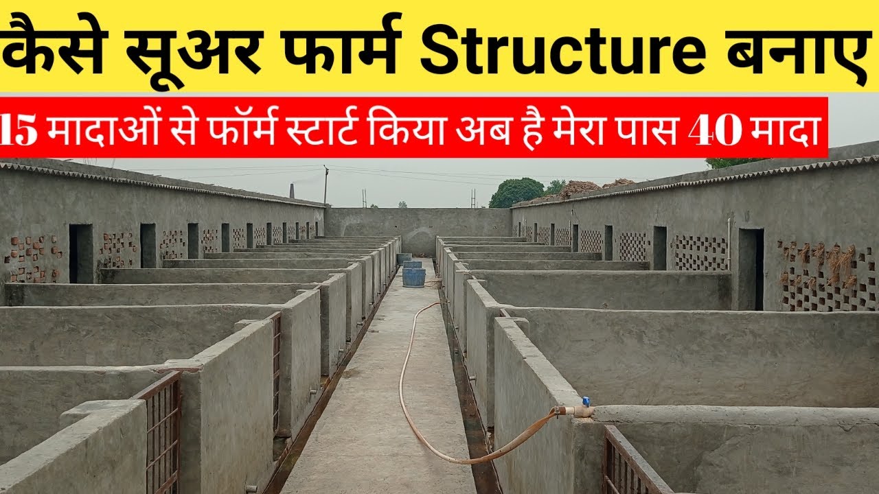 Piggery Farm Design l Pig Farm Structure Design,Pig Farming Structure in India, Pig Farm House