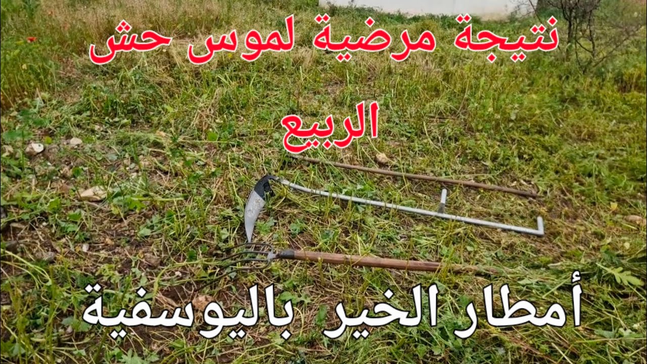 الحلقة 782.🌧🌩 أمطار الخير تحل باليوسفية و لله الحمد.🤲🏻❤️